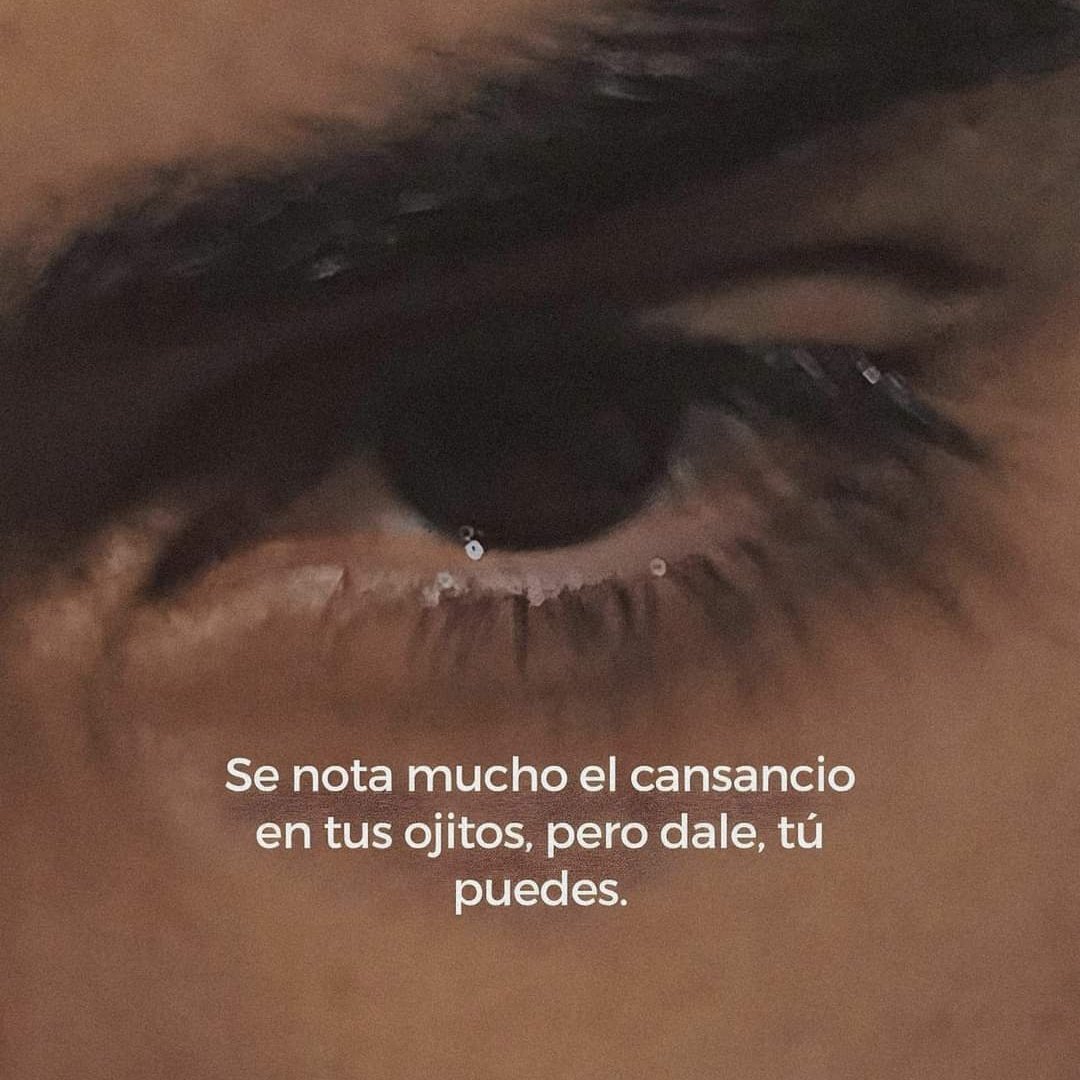 angelo_uf's tweet photo. https://t.co/guwgIt0umZ