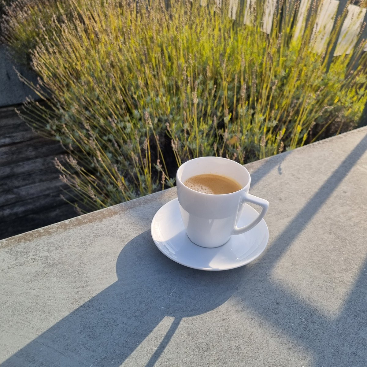 Kompensation für gestern. Duftnote: Livanto. #Kaffeegang