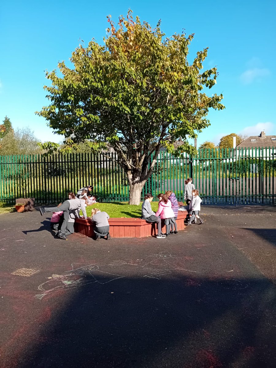 TogherGirls's tweet photo. More lovely memories for Mrs.Looney/Ms.Tuipèar's senior infants @TogherGirls doing @mathsweek #mathstrail with their 5th class buddies.#IUseMaths @deirdreforde @sendboyle @cork_cesc #community #support #friendship #counting https://t.co/vha7cIvzgk