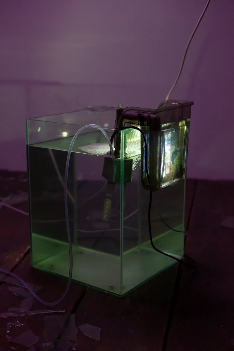 galleryMain's tweet image. 【最後の展示情報】
『「現実がうんこ色に黄ばんでいる人は絶対来て？」9割の人が知らない裏技』　松本悠

弊社が主催するアートスクールPlotの卒業生、松本悠の初個展を開催します。…