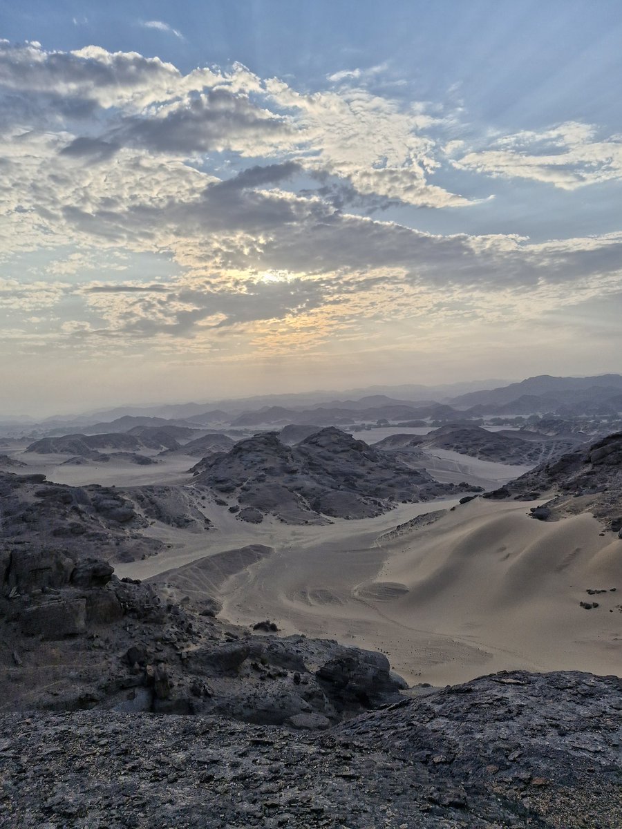 HoniballT's tweet image. After #SAWMA2024, the @WildEcoLabNMU took to the riverbeds of Namibia. An incredible trip, wild camping near the skeleton coast. A lot was learnt, a lot was shared.
10/10 recommend. Thank you to the Skeleton Coast Brown Hyaena Project for hosting us!!