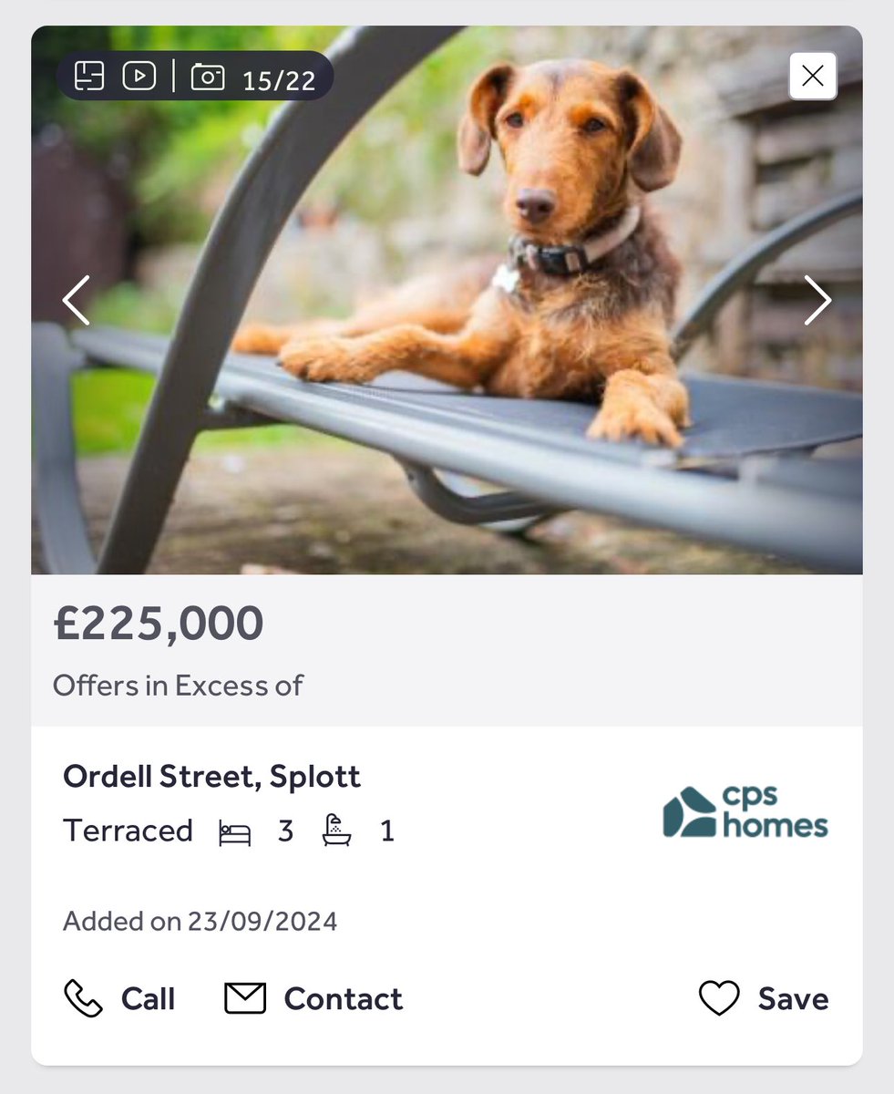 Obsessed with this house listing that has more pictures of the dog than of the actual house…I’m sold 🤣