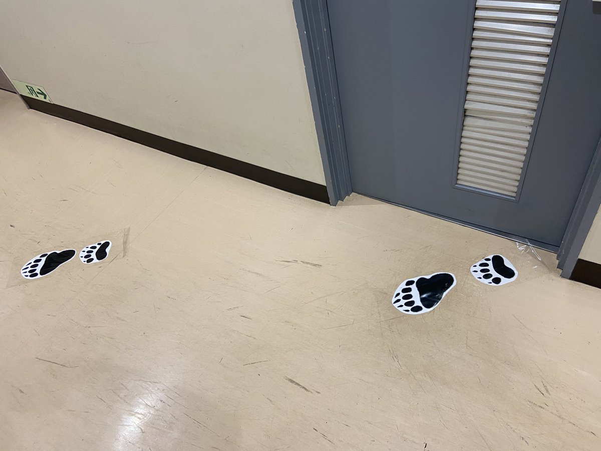sizensi's tweet photo. え！！！
男子トイレからクマらしき動物の足跡が…
⚠️危険⚠️
足跡を辿ってみよう…

ー探検家Aの冒険譚ー https://t.co/uRZaujlPRH