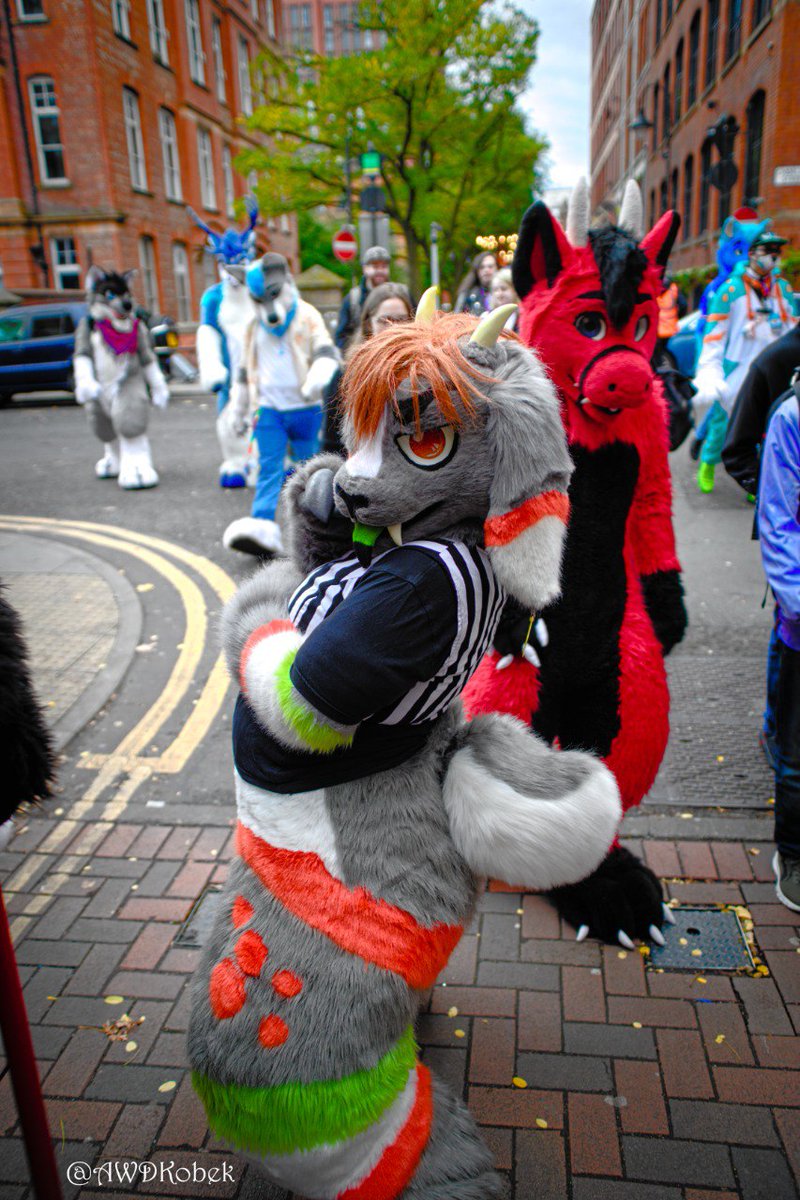 A few photos from <a href="/MancFurs/">MancFurs</a> October meet

#FursuitFriday