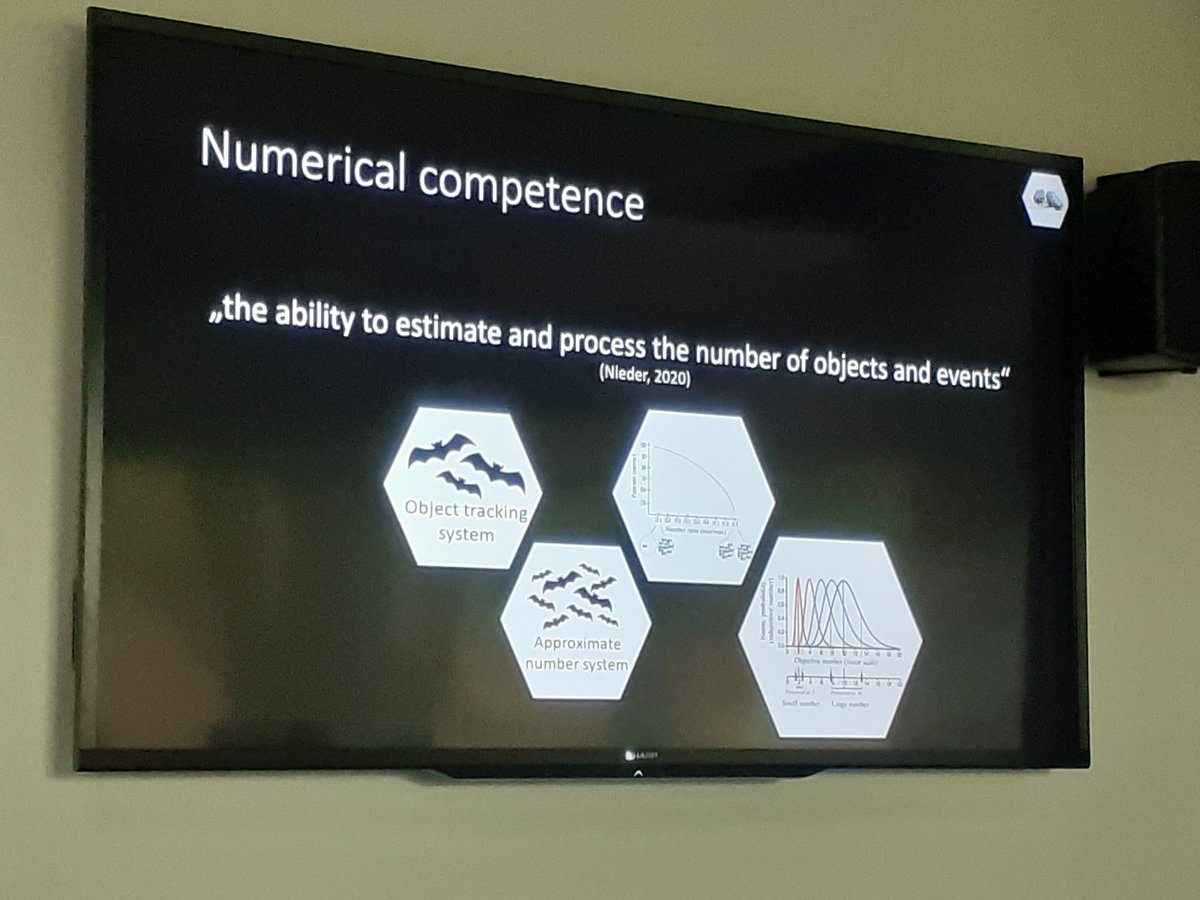 DZG section Behavioural Biology tweet media