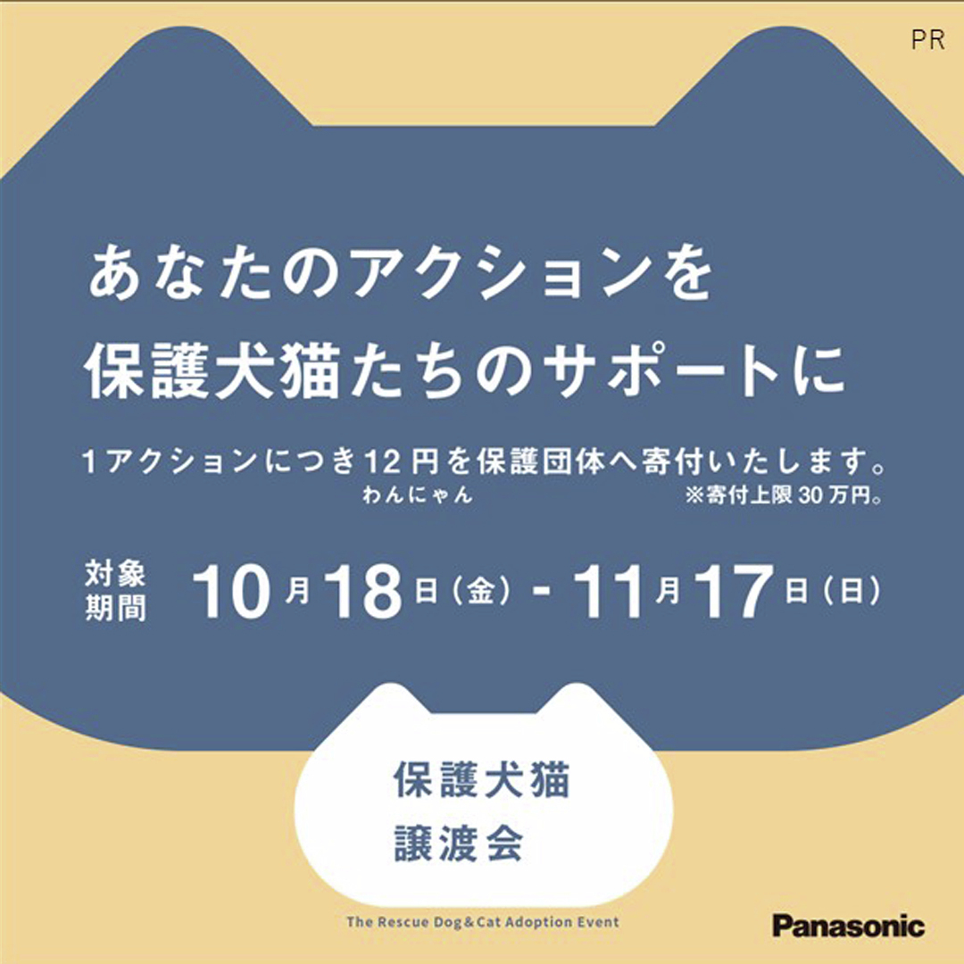 Asahisippo's tweet photo. ＼あなたの「いいね」が保護犬猫への寄付になる／

11/16,17の #パナソニック保護犬猫譲渡会 大阪開催を記念して、SNSチャリティキャンペーンをスタート🐶🐈

いいね・リポストなどのアクションで譲渡会ご参加の保護団体様に寄付をお届けいたします〈11/17まで〉

詳細や譲渡会コーナーのご予約はこちらから👇
https://t.co/3nTCuTni1G 

#PR #パナソニック