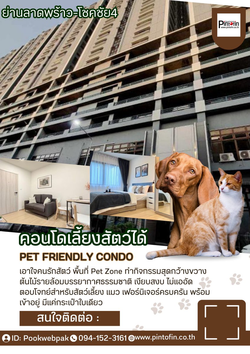 condo202's tweet photo. คอนผ่อนตรงเจ้าของหรือเช่า #เลี้ยงสัตว์ได้ ติดทางเดินรถไฟฟ้า 
✨คุณส���บัติผู้สมัคร✨
#พนักงานประจำรายได้ ➡️ 25,000 บาทขึ้นไป
#เป็นผู้ประกันตนมาตรา33 #มีประวัติการชำระที่ดี
🌻สนใจปรึกษาหรือสอบถามข้อมูลเพิ่มเติมได้ที่🌻
▶️  https://t.co/Bu7ziYpYA1 https://t.co/VyDjsNFmj4
