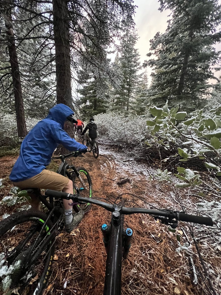 matt lorelli tweet media