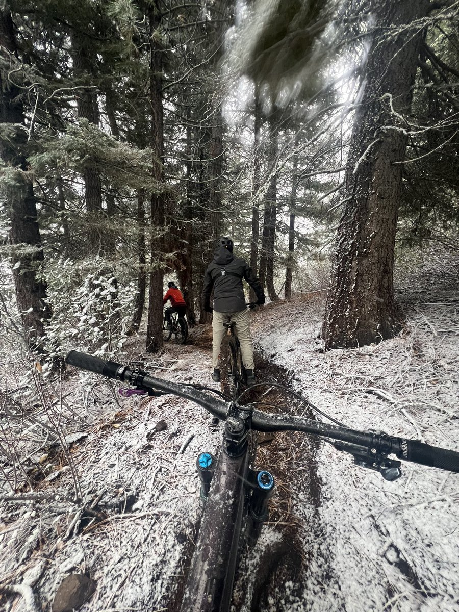 matt lorelli tweet media