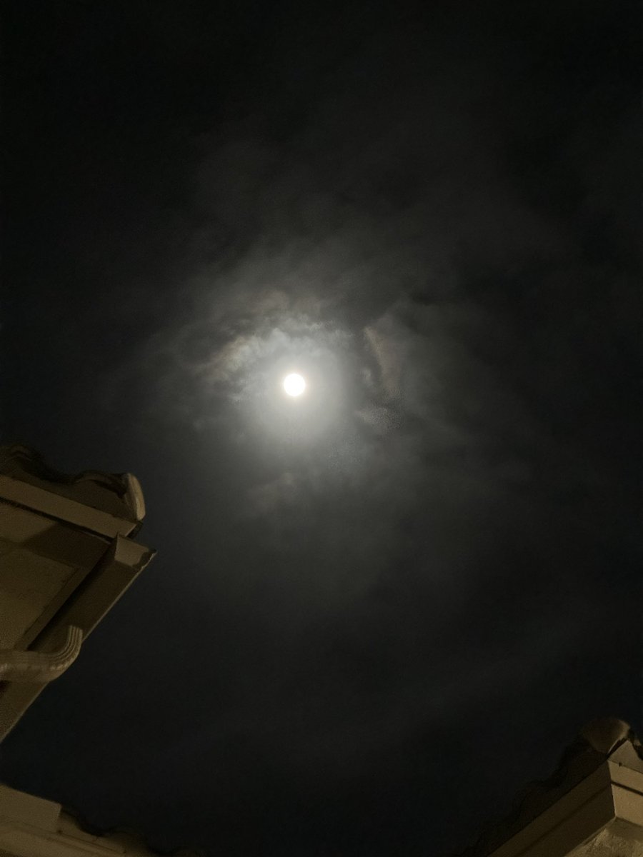 KASEENO's tweet image. The full moon’s out and the wolf pack is howling.
I took this dope shot of the moon just now. I’m feeling the $LOBO energy tonight.

Let’s get it in, wolves. You already know what time it is. 🌕🐺🔥

AWOOOOO!!

#FullMoonVibes #LOBO #WolfPack
@lobothewolfpup