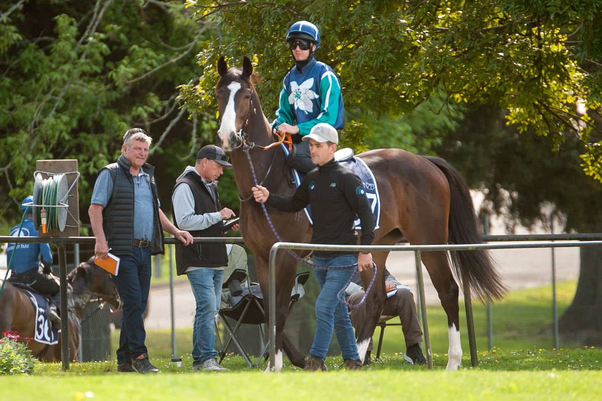 2YO's Scheduled to Breeze Up Next Week 📝⏳

Breeze Ups for the world’s best sale of two-year-olds are set to take place next week on Monday 21 and Tuesday 22 October at Te Rapa Racecourse.
All two-year-olds entered in NZB’s Ready to Run Sale have the opportunity to breeze on the