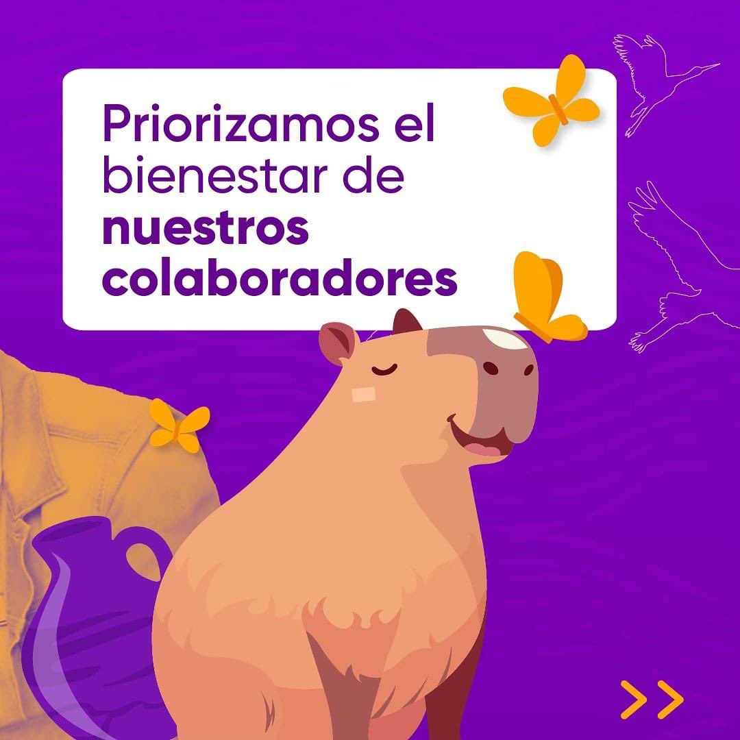 GAFontibon's tweet photo. ¡🎉🎊 Lo logramos! Somos el 4.º puesto en Great Place to Work en la categoría de 301 a 1500 colaboradores. 🚍💼

#OrgulloGAF #GPTW2024 #MejoresLugaresParaTrabajar https://t.co/fIqie5Fc8V