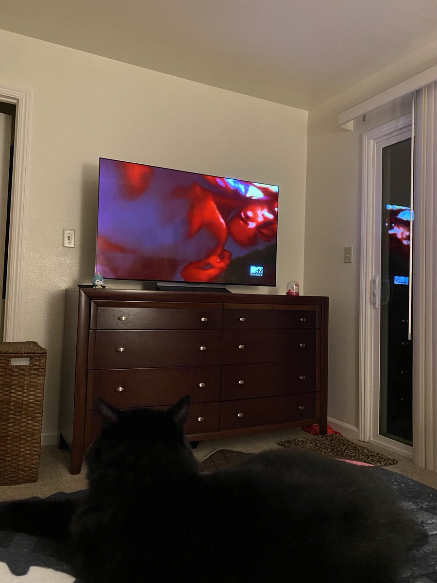 MemeCat99014509's tweet photo. ๐ Chillin with my Meme enjoying
VH1Classic ๐ถ before we head off
into the land of ๐ด.๐พ๐
Sweet Dreamies๐พ๐ญ๐ฌ ๐ญ
๐ค~Sabrina
#CatsOfTwitter #CatsOfX #BedtimeCats #BlackCatsAreAwesome #CatsAreCool #BlackCats #Cats https://t.co/BbMPFkEmOa