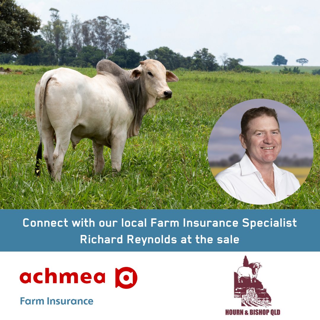 @Achmea_Farm_Insurance (@achmeaa) on Twitter photo The Hourn & Bishop Bull Sale kicks off next week and the <a href="/AchmeaA/">@Achmea_Farm_Insurance</a> team is looking forward to being there. Drop by and chat with our local Farm Insurance Specialist, Richard Reynolds about your insurance needs.
#FarmInsurance #KeepingFarmersFarming #StudStock The Hourn & Bishop Bull Sale kicks off next week and the <a href="/AchmeaA/">@Achmea_Farm_Insurance</a> team is looking forward to being there. Drop by and chat with our local Farm Insurance Specialist, Richard Reynolds about your insurance needs.
#FarmInsurance #KeepingFarmersFarming #StudStock