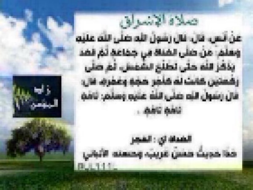 hayat79N's tweet photo. https://t.co/Q07qvbte9I