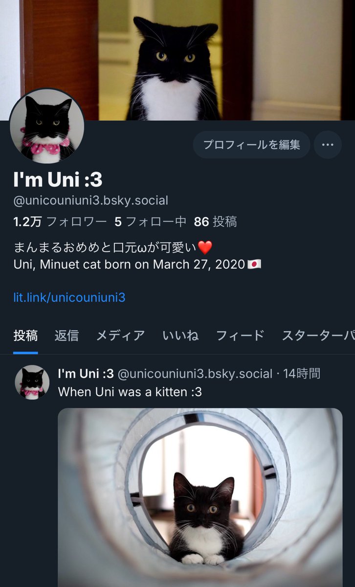 unicouniuni3's tweet photo. My bluesky account :3 https://t.co/4W1aRiB5X8