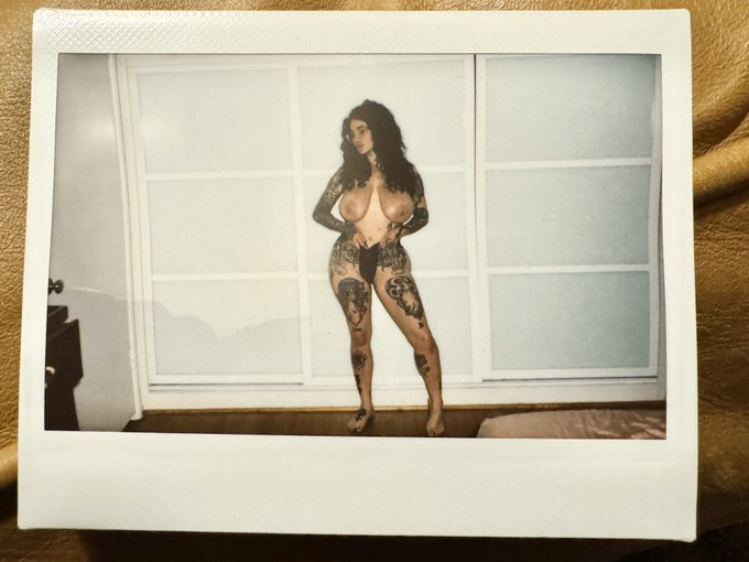 New Polaroids for sale! https://t.co/RxfmHKKNQH https://t.co/J9V3r2zuic
