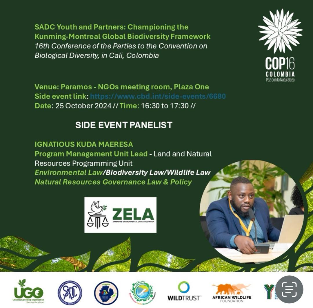 Zimbabwe Environmental Law Association (ZELA) (@zela_infor) on Twitter photo Panel Discussion Alert 🚨
Join <a href="/ZELA_Infor/">Zimbabwe Environmental Law Association (ZELA)</a> Land and Natural Resources Programme Lead <a href="/Gina478Mk2/">Ignatious Kuda Maeresa</a> who will be on a <a href="/COP16Oficial/">COP16 COLOMBIA 🇨🇴</a> panel discussing youth leadership in biodiversity conservation on Oct 25.
<a href="/AWF_Official/">AWF</a> <a href="/SADC_News/">SADC Secretariat</a> <a href="/IUCN/">IUCN</a> <a href="/SwedeninZW/">Sweden in Zimbabwe 🇸🇪</a> <a href="/UNBiodiversity/">UN Biodiversity</a> <a href="/zybn_cbd/">Zimbabwe Youth Biodiversity Network</a> Panel Discussion Alert 🚨
Join <a href="/ZELA_Infor/">Zimbabwe Environmental Law Association (ZELA)</a> Land and Natural Resources Programme Lead <a href="/Gina478Mk2/">Ignatious Kuda Maeresa</a> who will be on a <a href="/COP16Oficial/">COP16 COLOMBIA 🇨🇴</a> panel discussing youth leadership in biodiversity conservation on Oct 25.
<a href="/AWF_Official/">AWF</a> <a href="/SADC_News/">SADC Secretariat</a> <a href="/IUCN/">IUCN</a> <a href="/SwedeninZW/">Sweden in Zimbabwe 🇸🇪</a> <a href="/UNBiodiversity/">UN Biodiversity</a> <a href="/zybn_cbd/">Zimbabwe Youth Biodiversity Network</a>