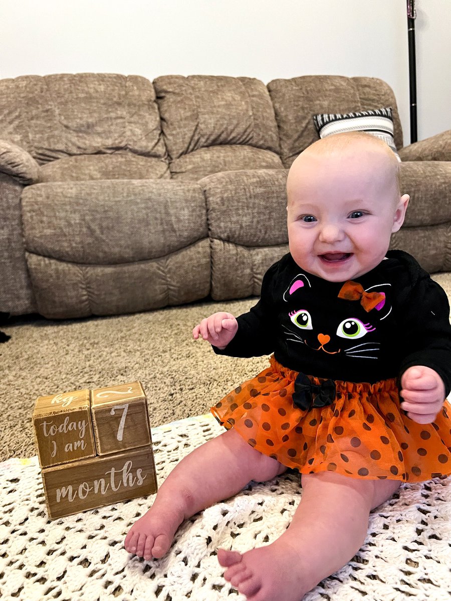 djdreier10's tweet photo. Nj’s favorites… 
- Petting her kitties with assistance
- Rolling around everywhere
- Scooting backwards
- Reading her books and turning the pages
- Feeding herself her solid foods
- Babbling about her day https://t.co/L7T8A5V5Ze