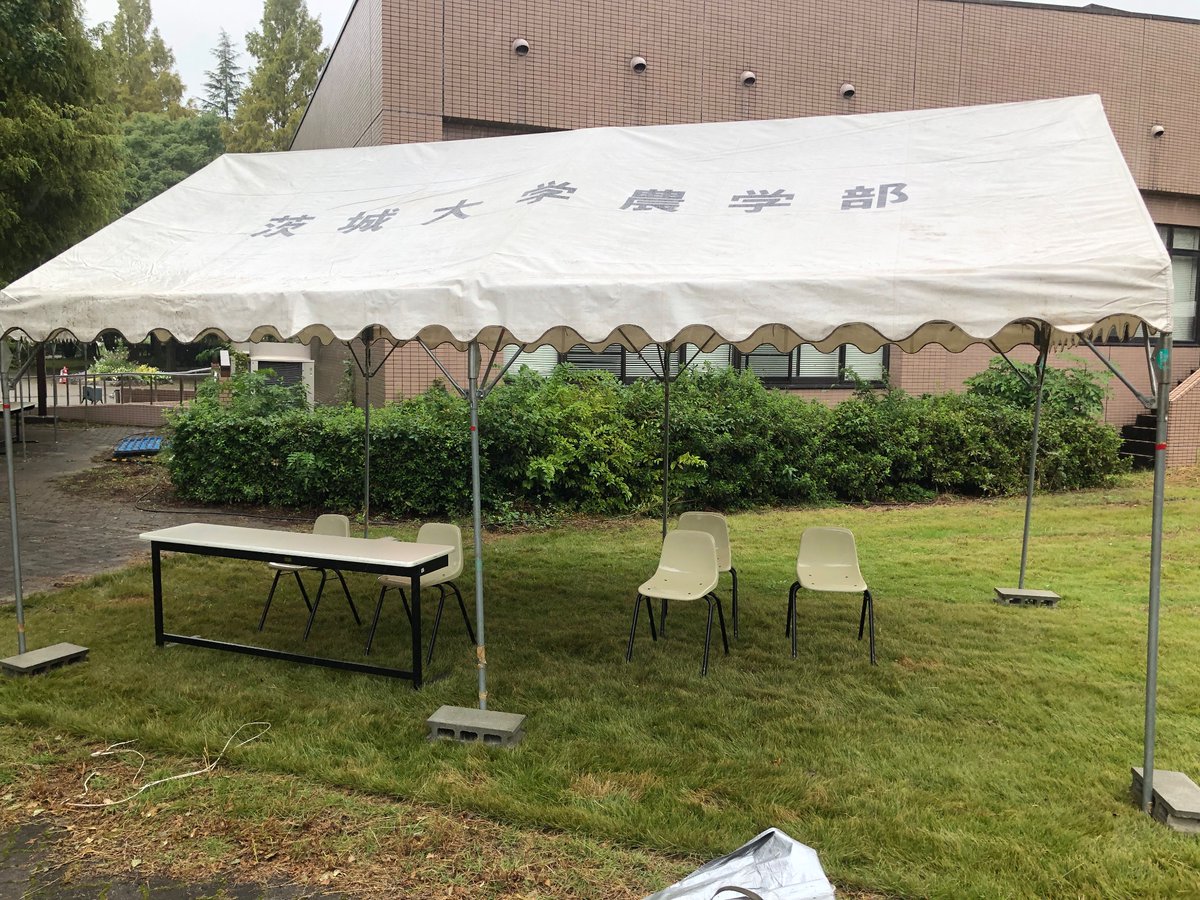 本日鍬耕祭の前日準備を行いました！
10月19日土曜日 9:30〜16:30
10月20日日曜日 9:30〜15:00にて
茨城炭酸部は福来サイダーの販売を行います！
様々な模擬店のグルメと一緒に福来サイダーはいかがですか？
たくさんのご来場、お待ちしております！
#鍬耕祭 #茨城大学 #阿見町 #サイダー #グルメ