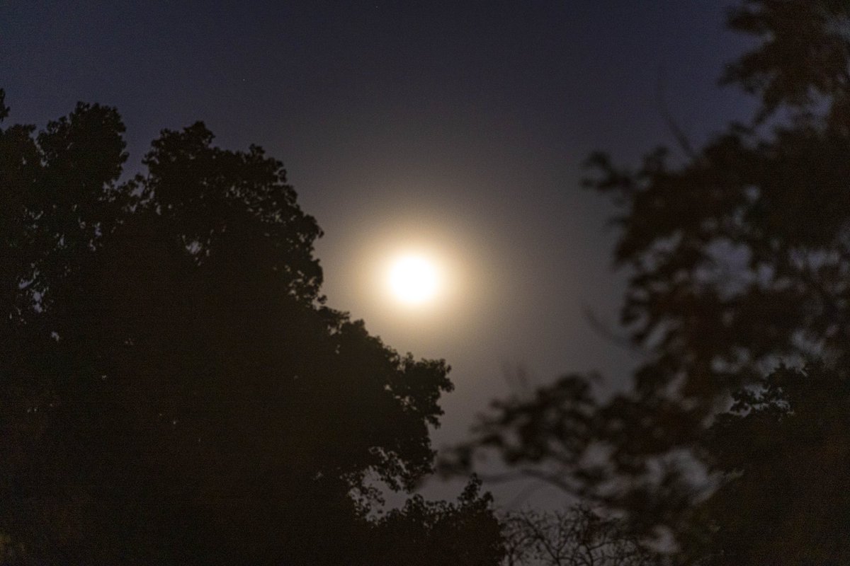 AlexRMooney's tweet photo. #supermoon Thursday ✨🌕✨ https://t.co/7DnqYFCYGe