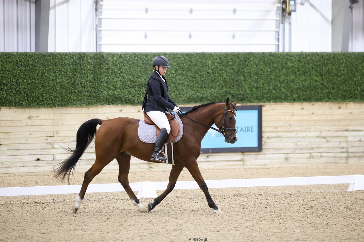 ThatPinto's tweet image. Show photo dump🤭