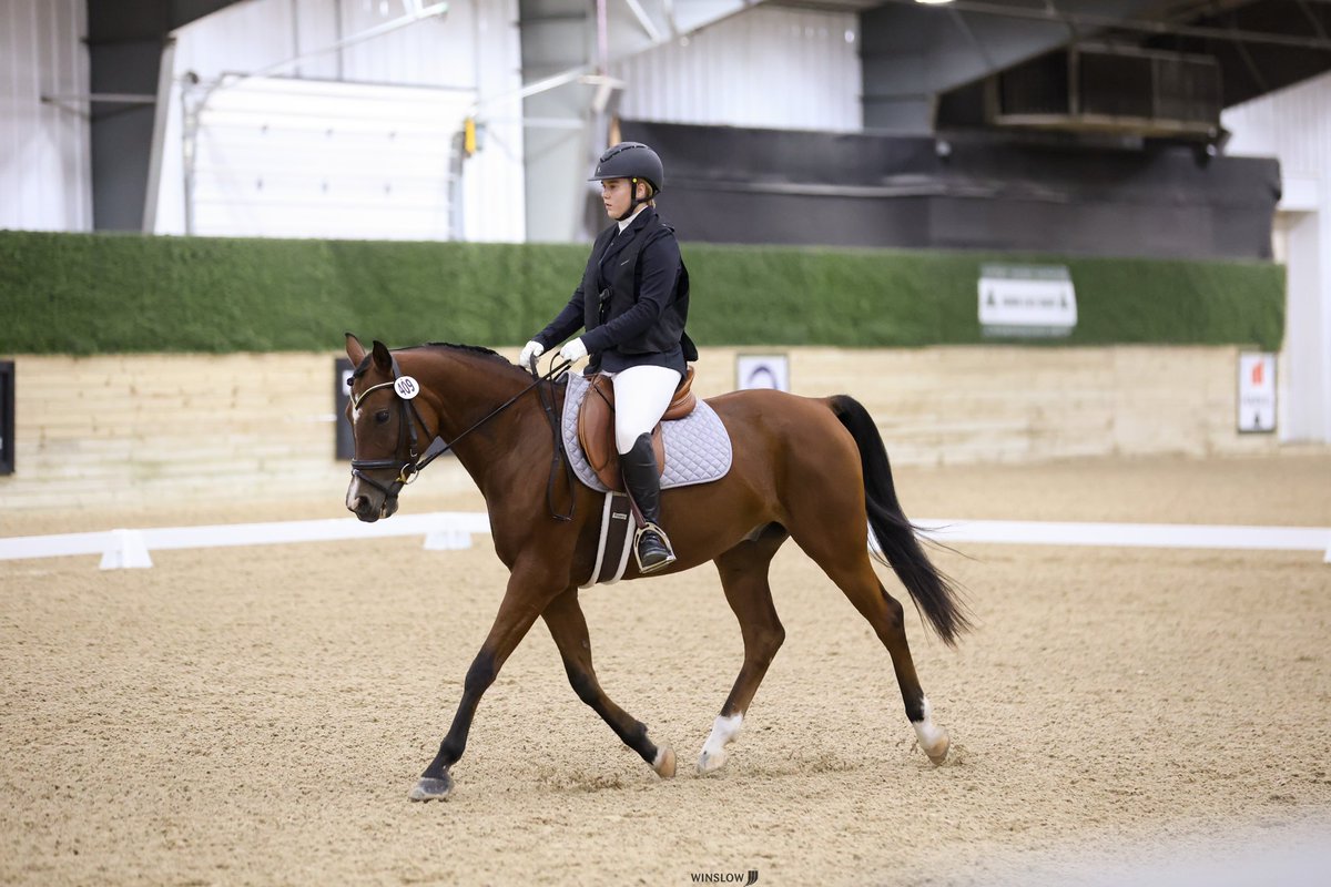 ThatPinto's tweet image. Show photo dump🤭