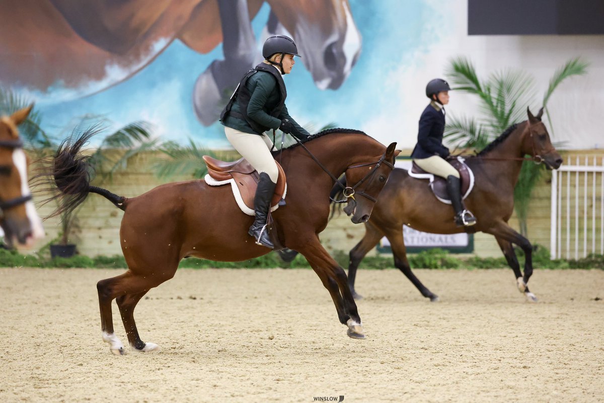 ThatPinto's tweet image. Show photo dump🤭