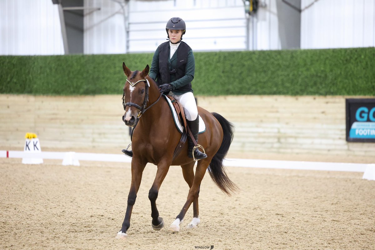 ThatPinto's tweet image. Show photo dump🤭