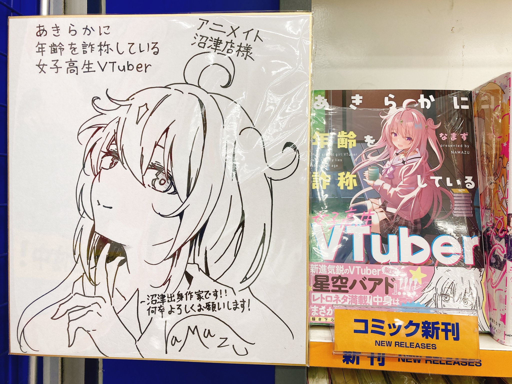 Amazon.co.jp: あきらかに年齢を詐称している女子高生VTuber