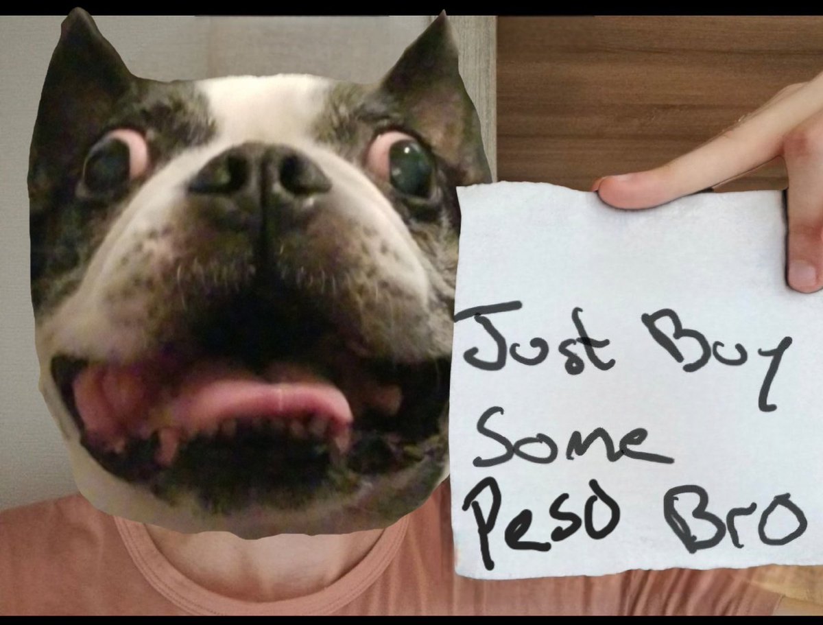 PesoCoinADA's tweet photo. @Leooweb3 Woof🐾
$PESO https://t.co/7mAFYZyqRm