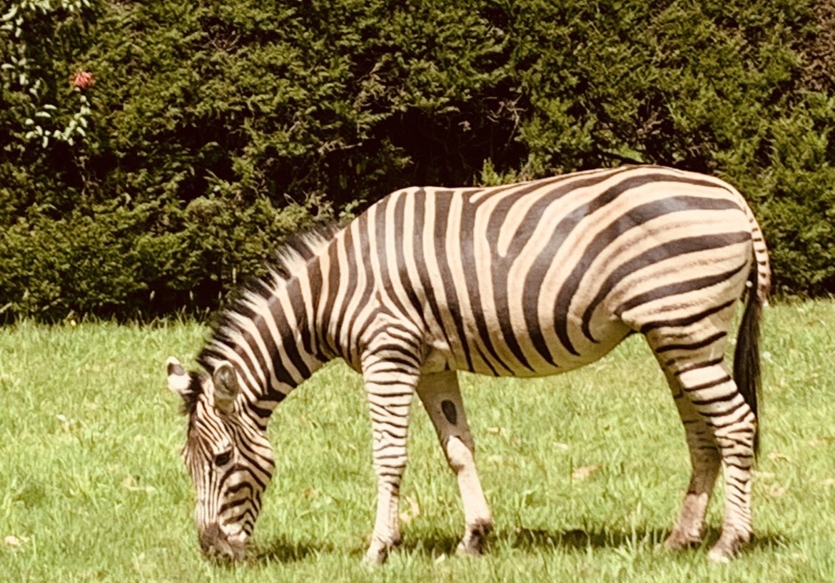 Algo estaremos haciendo bien en <a href="/lamoreria/">la moreria</a>.ec 
Gracias por tan especial distinción !