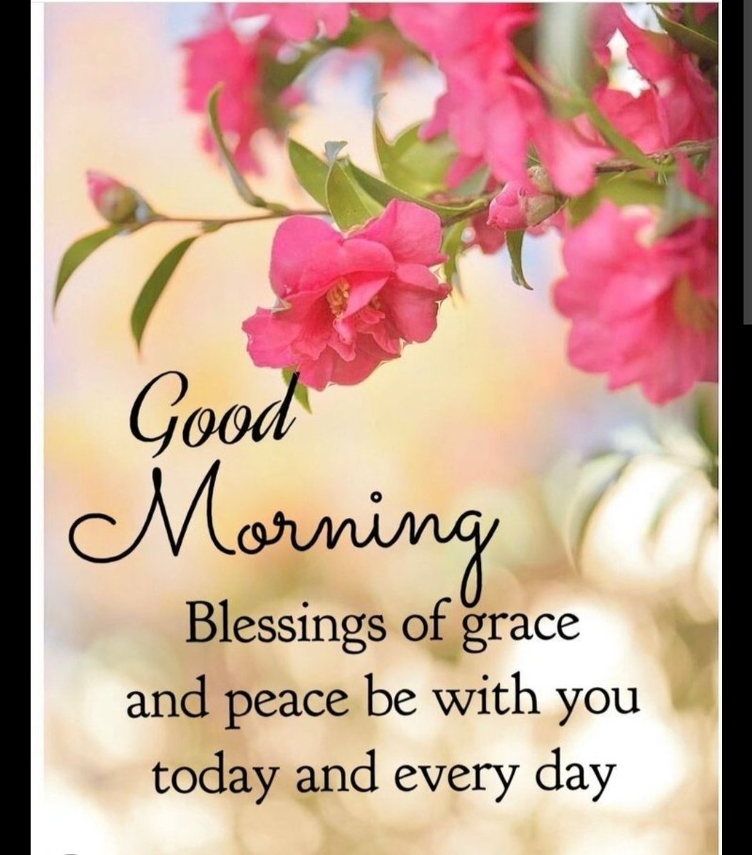 May this morning brighten up your day, stay blessed and happy 
Good morning 🌞