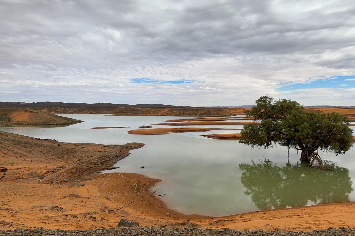 XEVATabasco's tweet photo. ¡Sorprendente! 😱 Imágenes de las raras inundaciones en el desierto del #Sahara que no ocurrían desde hace 50 años.

Fotos de EFE