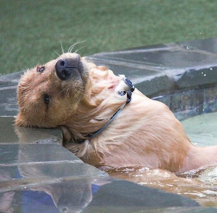 twaniimals's tweet photo. Mood https://t.co/PlglTcVQvN