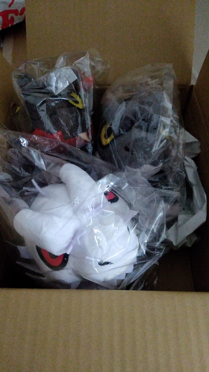 何が届いたのかなと思ったら以前購入した子達だった
#ミラ3兄弟