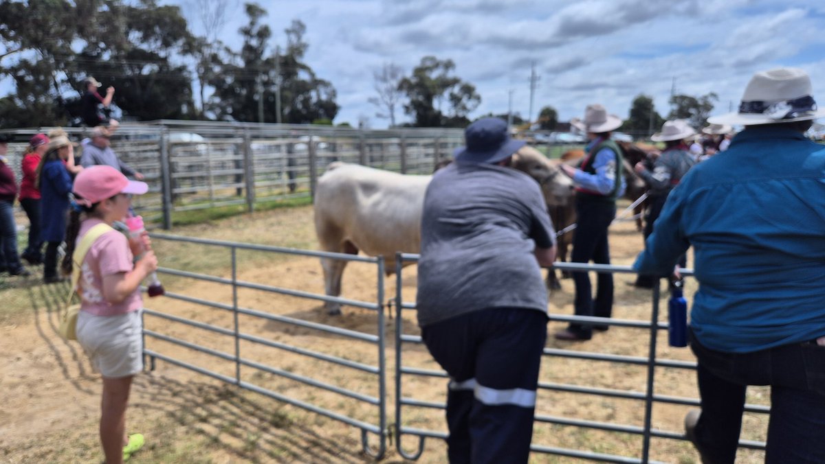 It's show time! 
#EsperanceWA 
#ThisIsWA