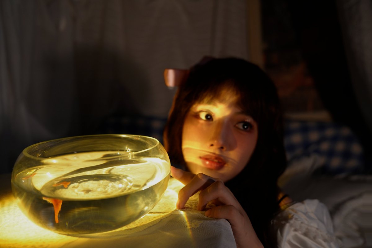 小金鱼在鱼缸中游淌着~一束暖光照入鱼缸，掠过鱼身，又幽幽的拂过我的脸庞。你觉得鱼缸是ta的牢笼，想要放其进入大海?不是的，鱼缸是ta弱小时的舒适圈，而那所谓辽阔的大海，可能是ta恐怖的深渊~~ https://t.co/i2xG35rUod
