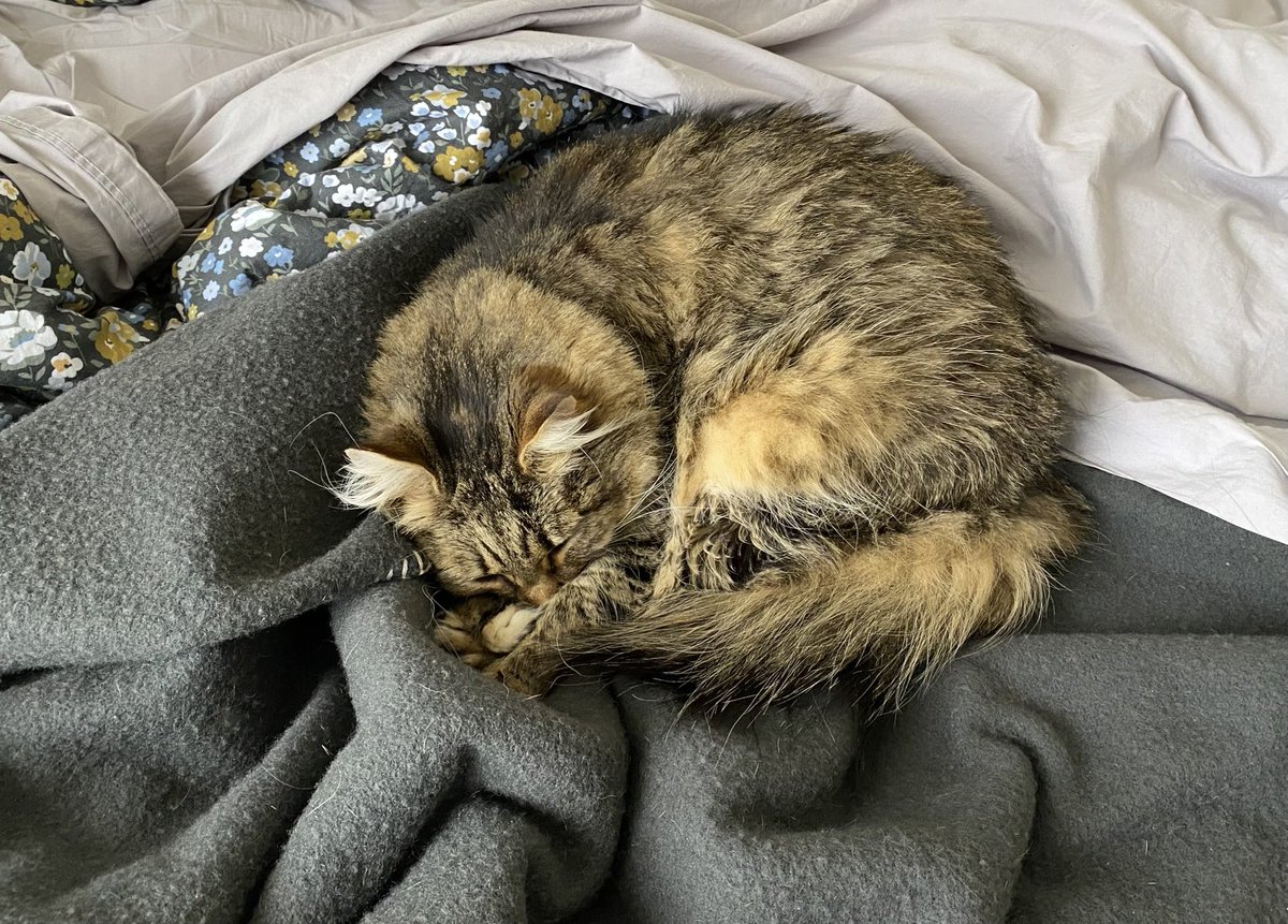 Edward Willis tweet media