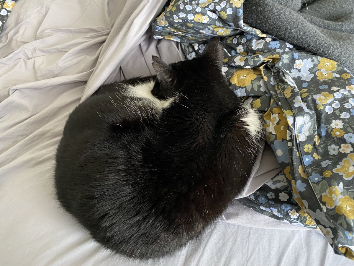 Edward Willis tweet media