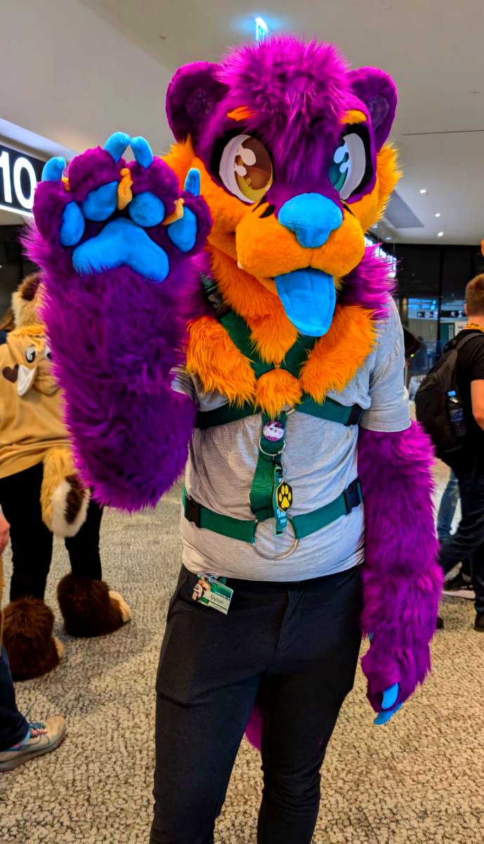 Happy #FursuitFriday to everyone :3