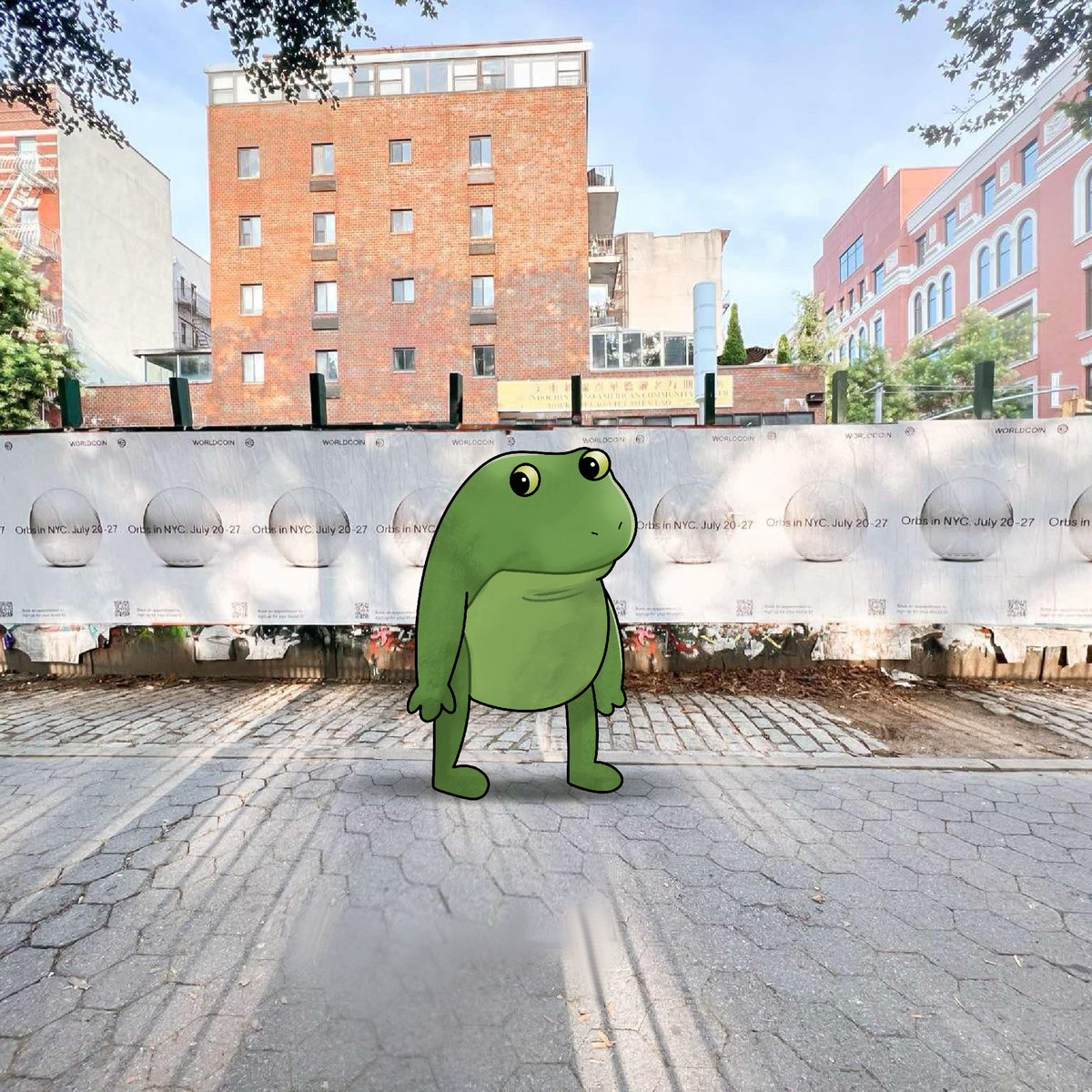 FROGE tweet media
