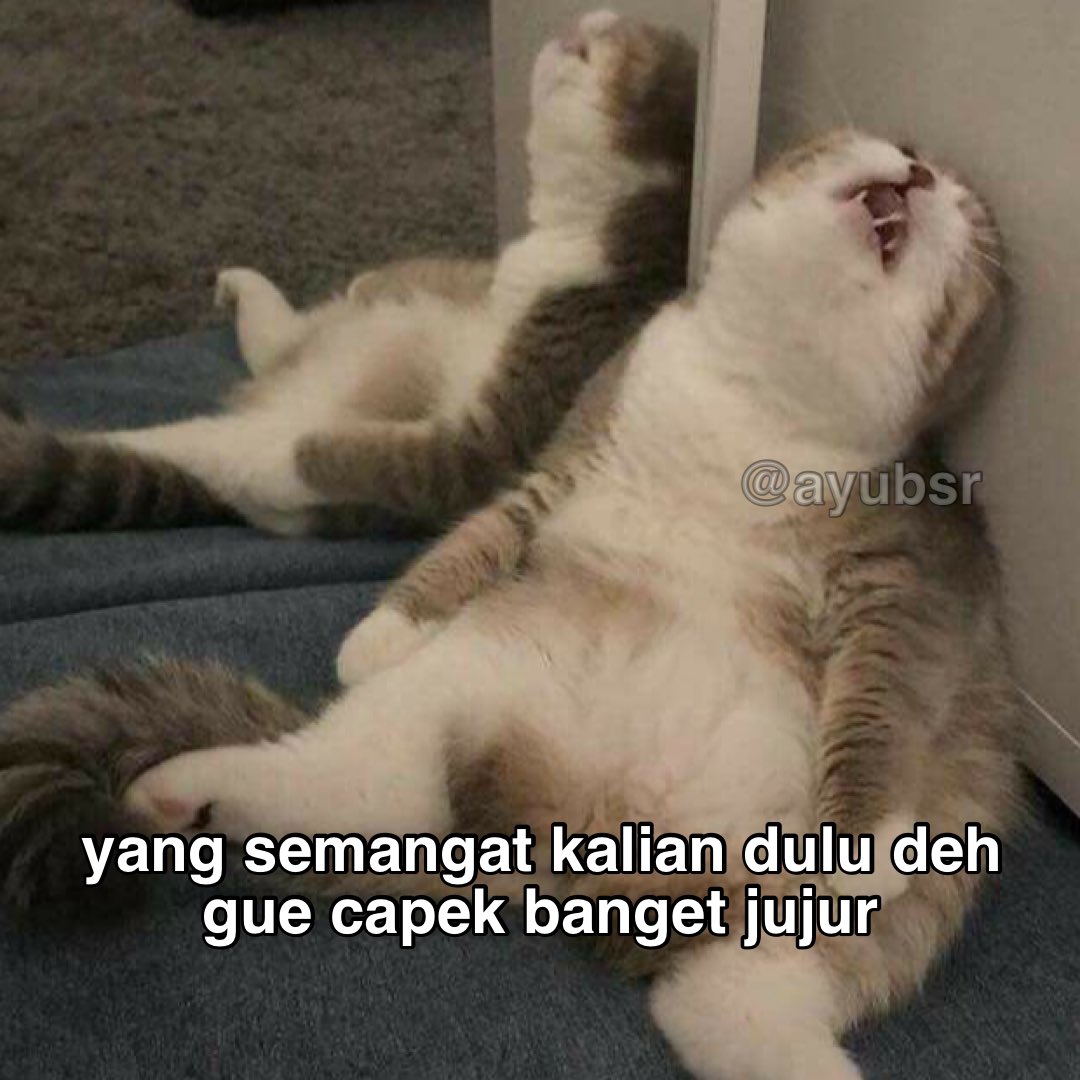 Ayu (@ayubsr) on Twitter photo 