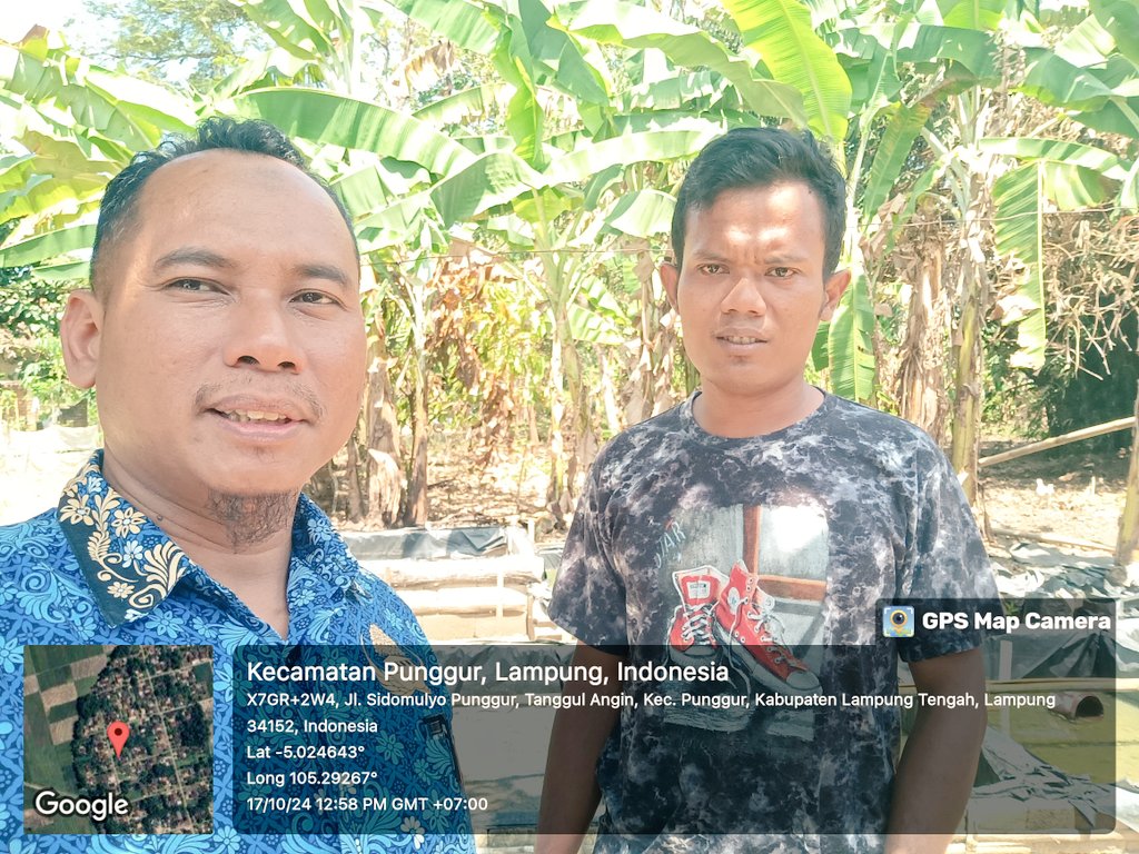 basoeki_hendri's tweet photo. Rabu (17/10/2024). Basuki Hendriawan, Lampung Tengah. Alen Priambodo, Pokdakan Sinar Betta 12, Sidomulyo. Budidaya Ikan hias, panen rata-rata 1-2 ribu ekor. Luas kolam 50 m2. Harga rata-rata Rp. 2.500,-/ekor  #GiatLuhkanSatminkalBRPPUPP 
#Luhlapor 
#Panen https://t.co/foYsh89UI3