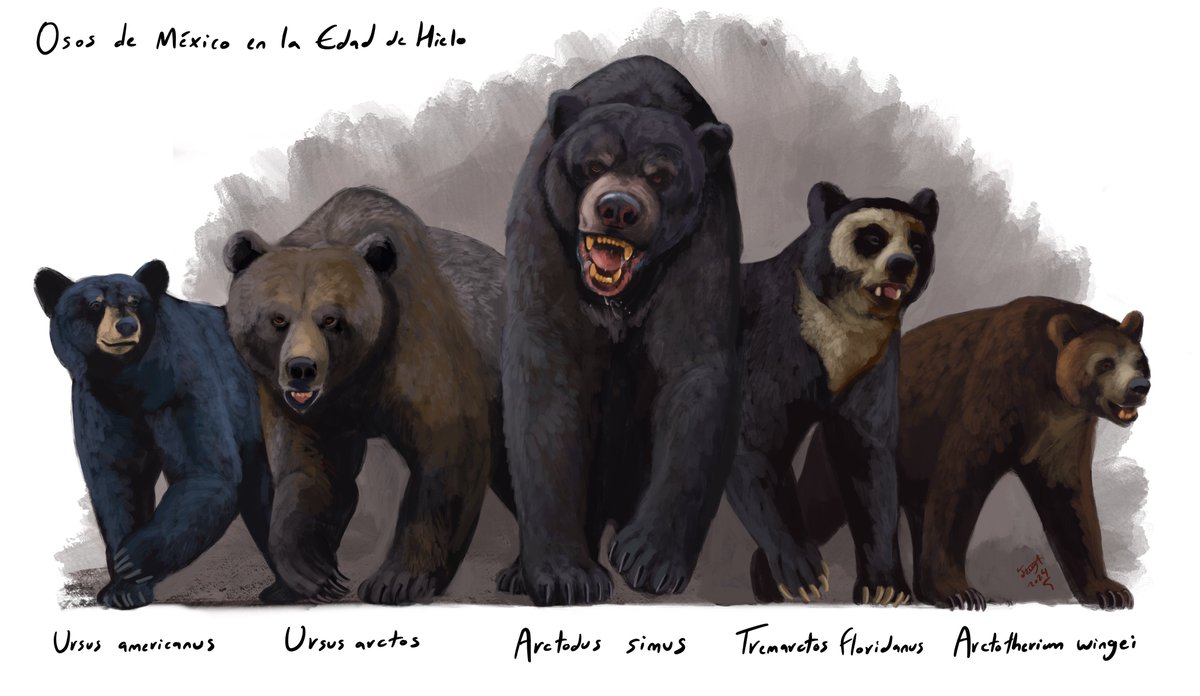 HodariNundu's tweet photo. All in all, you had very healthy probabilities of being mauled or eaten in late Pleistocene Mexico :B https://t.co/IBoSXJZdHZ