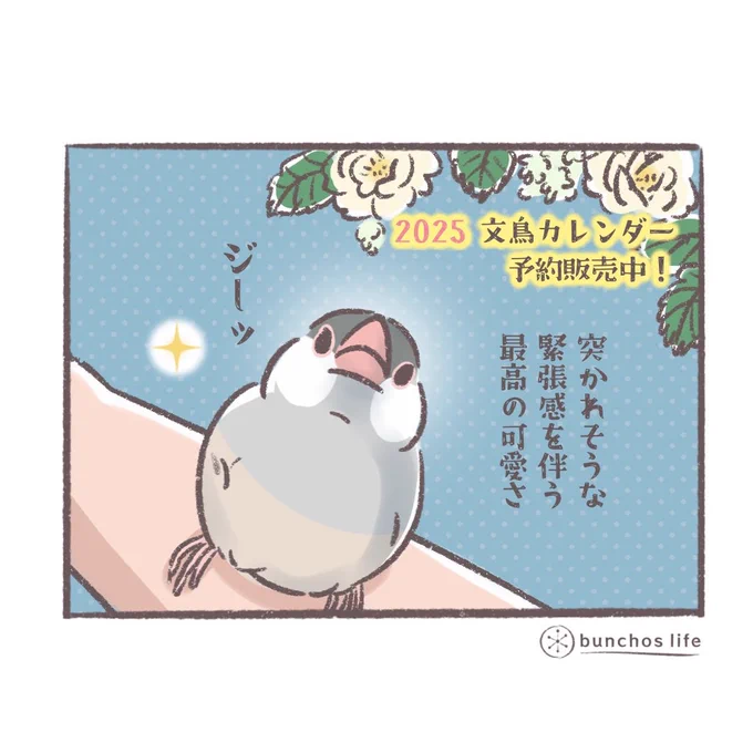 🌿2025年カレンダー予約販売開始しました!ノート、ボールペンもあわせてどうぞ✨↓↓↓
https://t.co/8HRgo5plJf

※楽天サイトからは固定ツイートにリンク貼ってあります 