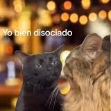 Camila Constanza T.S tweet media