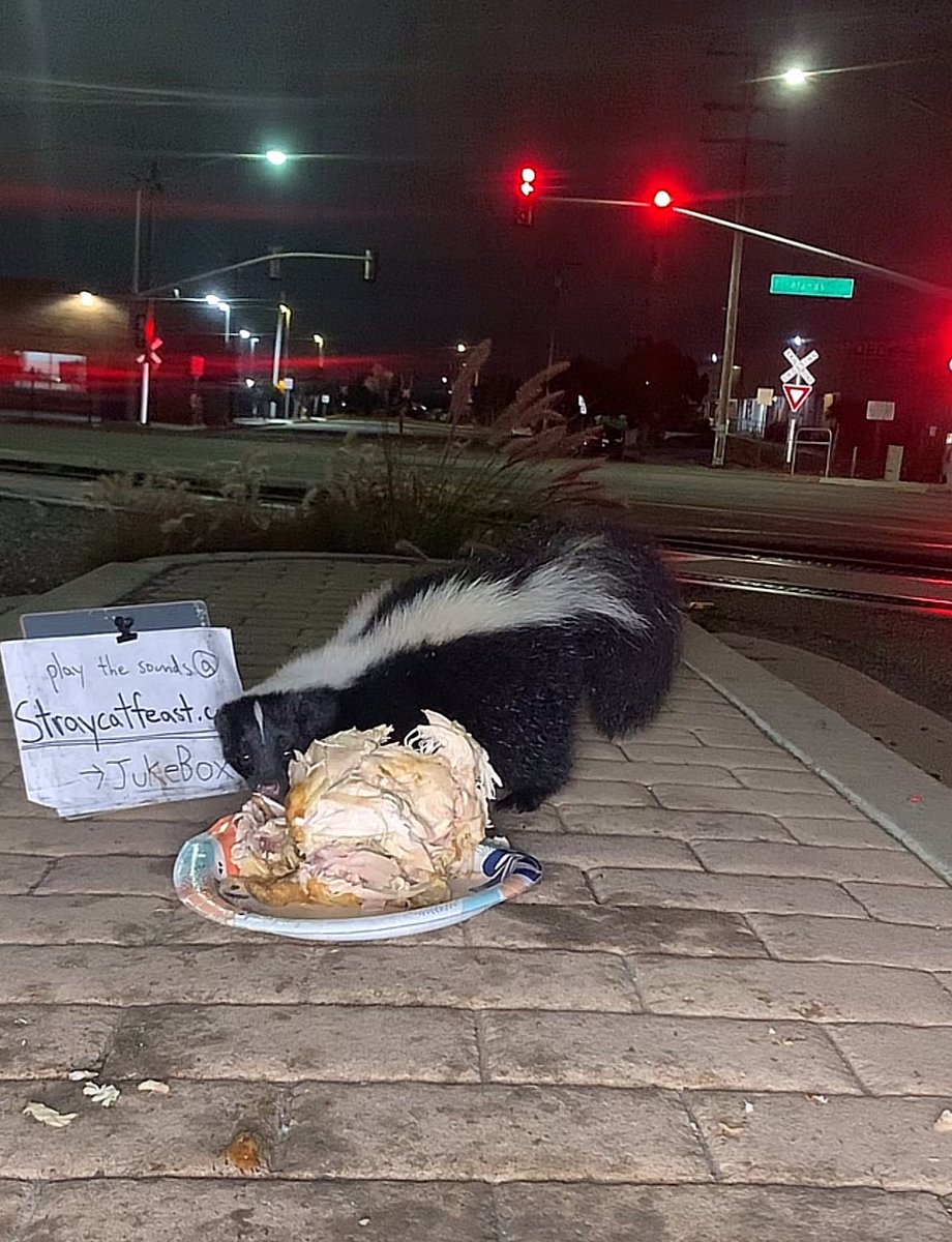 EricBaudour's tweet image. huh