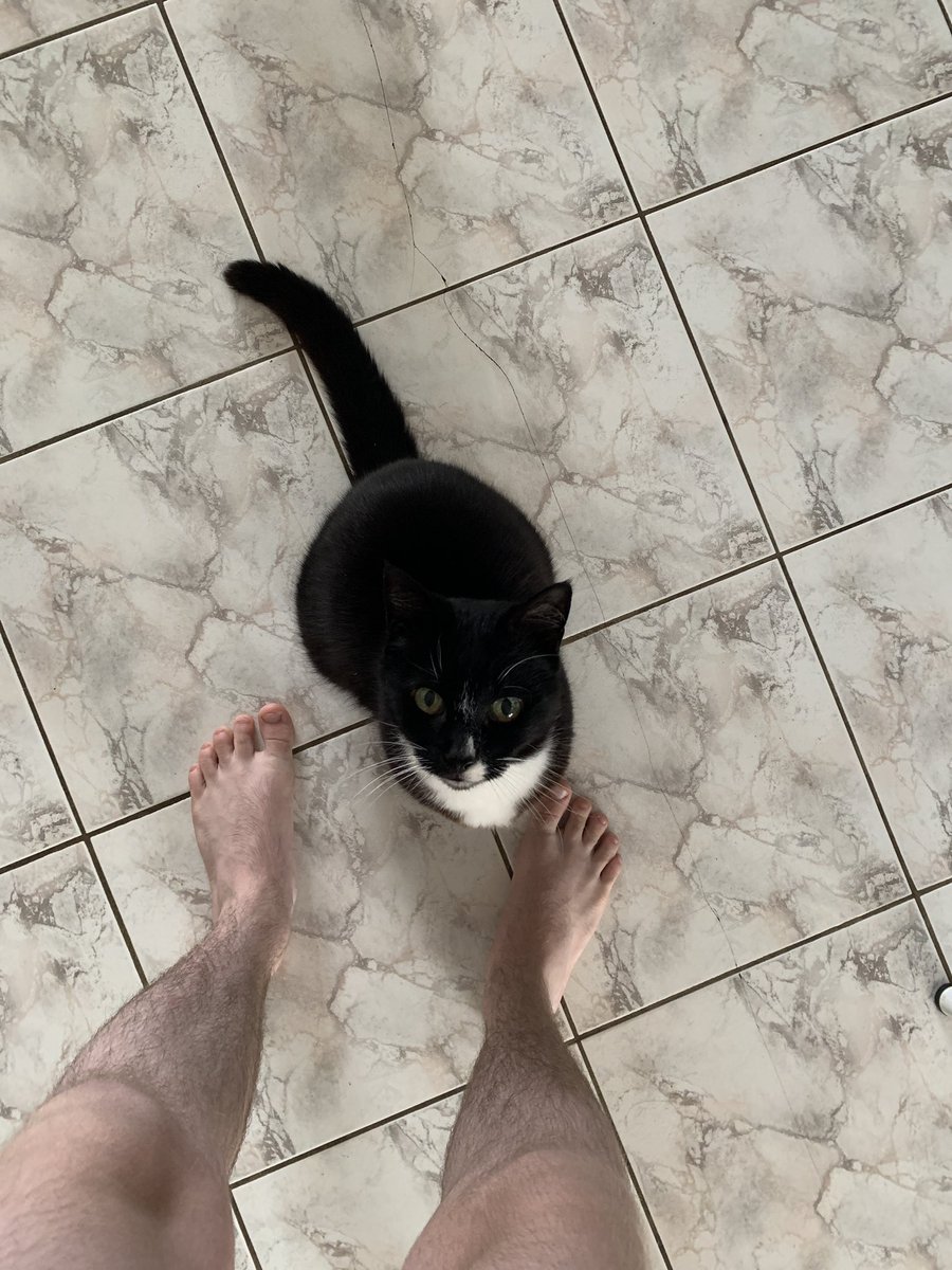 Fracking Extremist tweet media