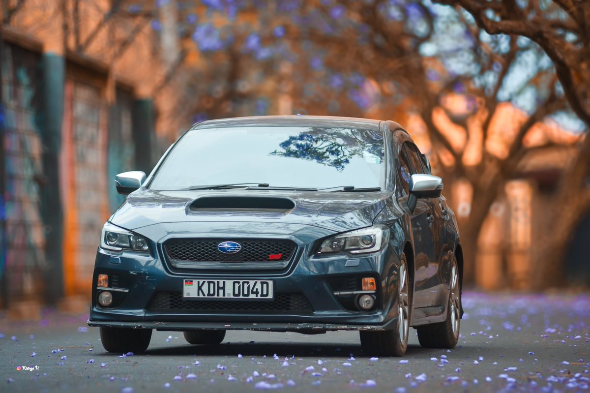 Vicky Junior Mukulima tweet media